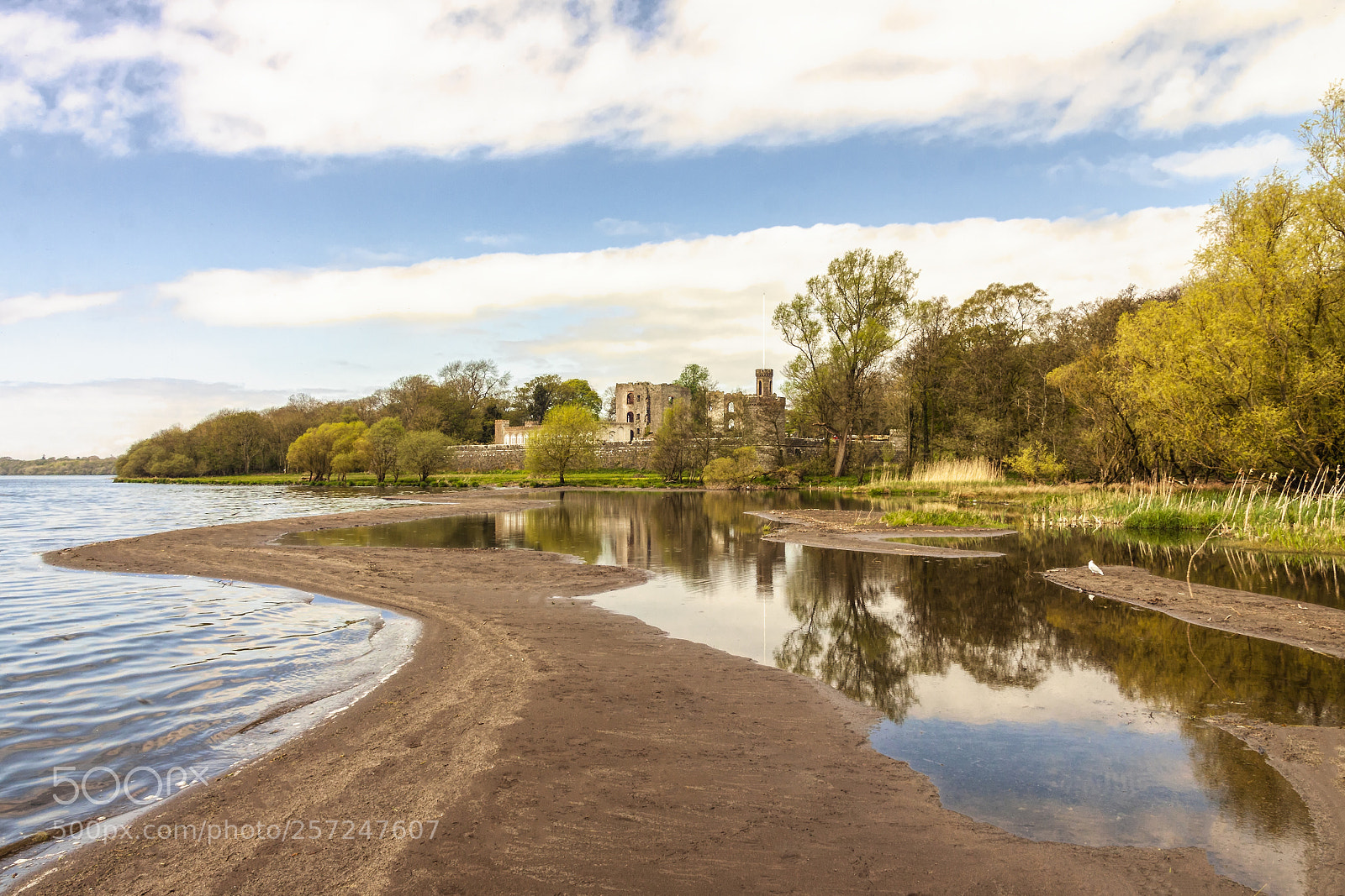 Canon EOS 50D sample photo. Shanes castle photography