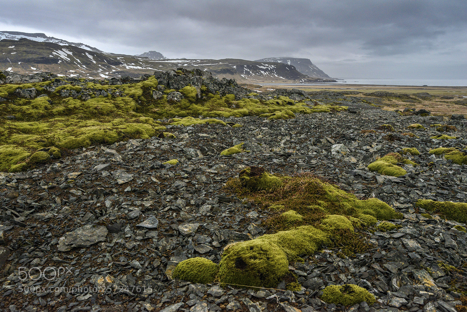 Nikon D800 sample photo. Bearbeitet photography