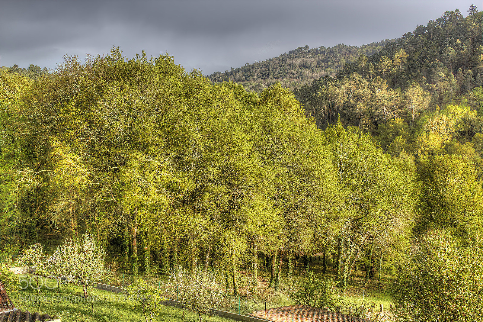 Canon EOS 550D (EOS Rebel T2i / EOS Kiss X4) sample photo. Galicia photography