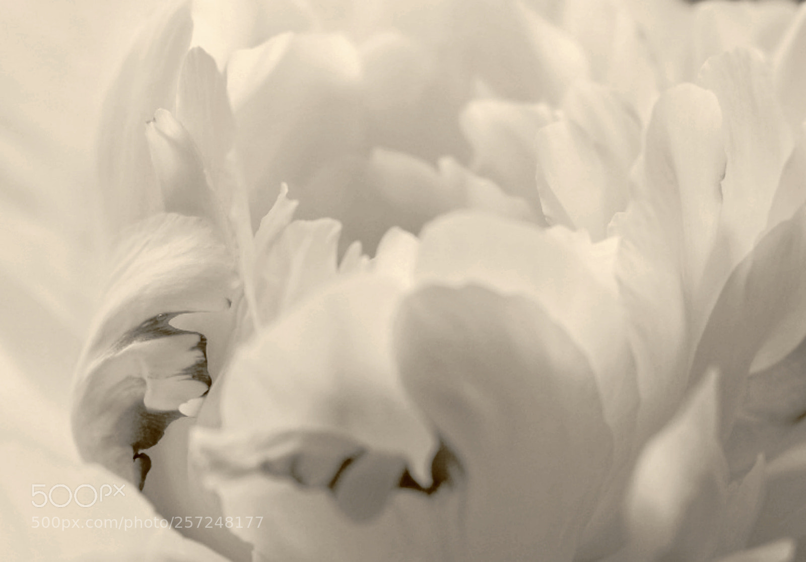 Fujifilm X-T2 sample photo. Untitled photography