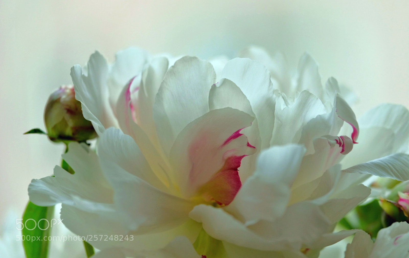 Fujifilm X-T2 sample photo. Untitled photography