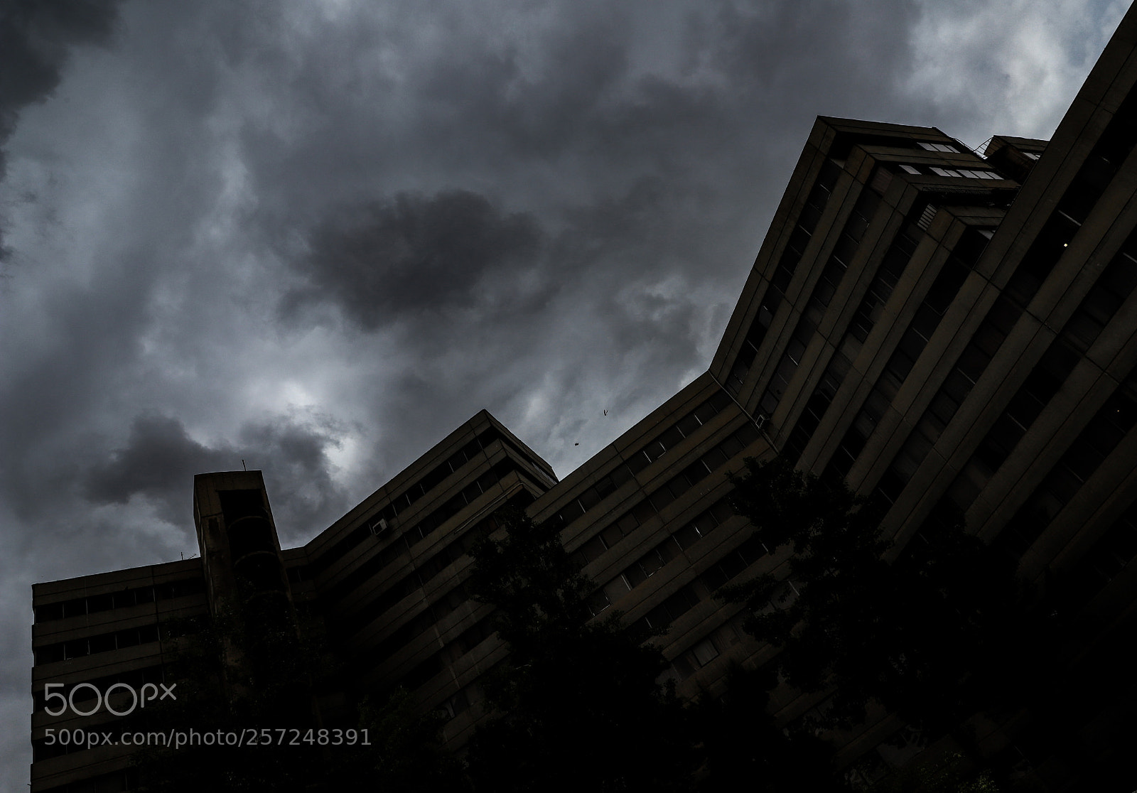 Canon EOS 6D Mark II sample photo. Freedoom photography