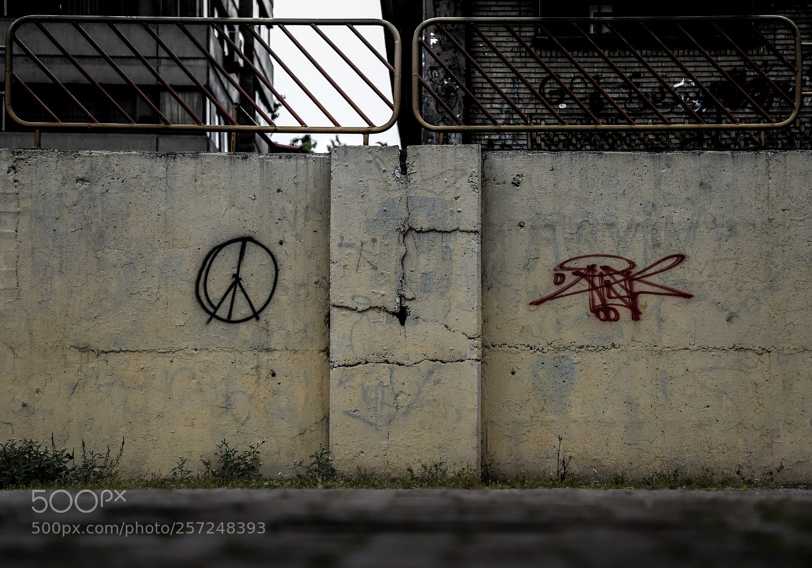 Canon EOS 6D Mark II sample photo. Peace photography