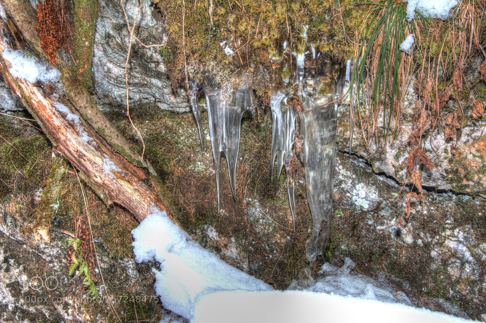 Nikon D7100 sample photo. Ghiaccioli photography