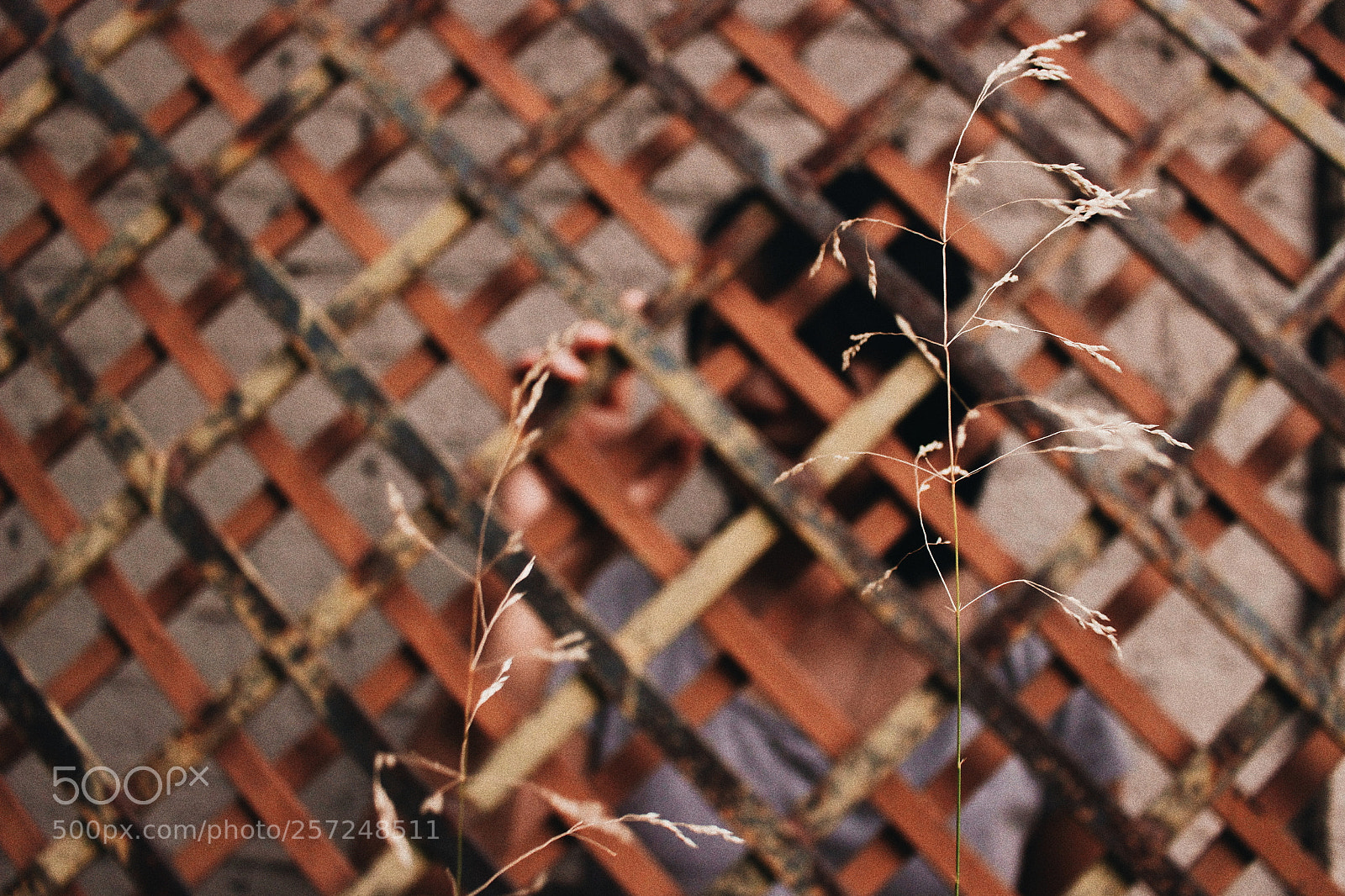 Canon EOS 100D (EOS Rebel SL1 / EOS Kiss X7) sample photo. Keep hiding your soul photography