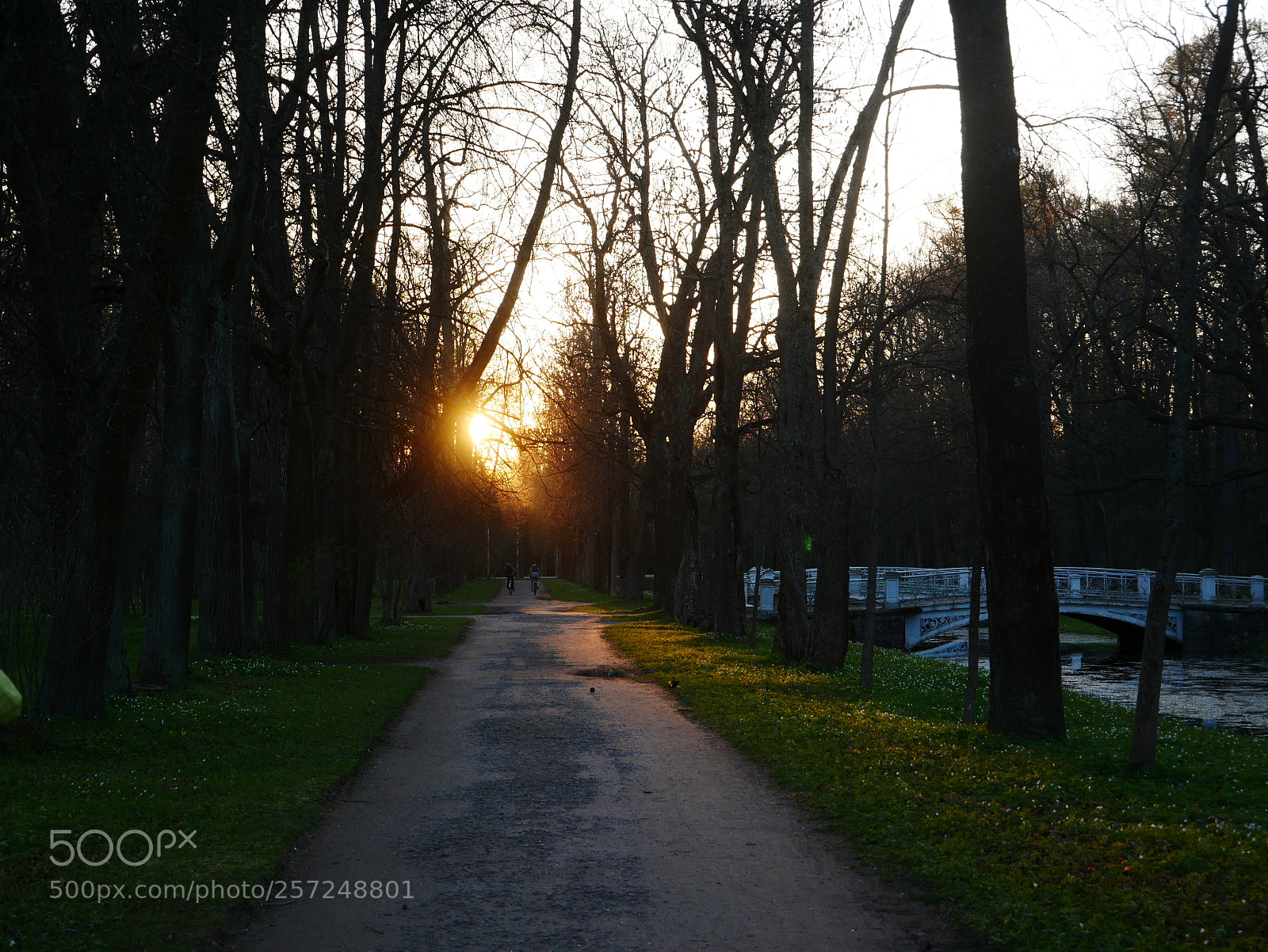 Panasonic Lumix DMC-G85 (Lumix DMC-G80) sample photo. Cycling to the sunset photography
