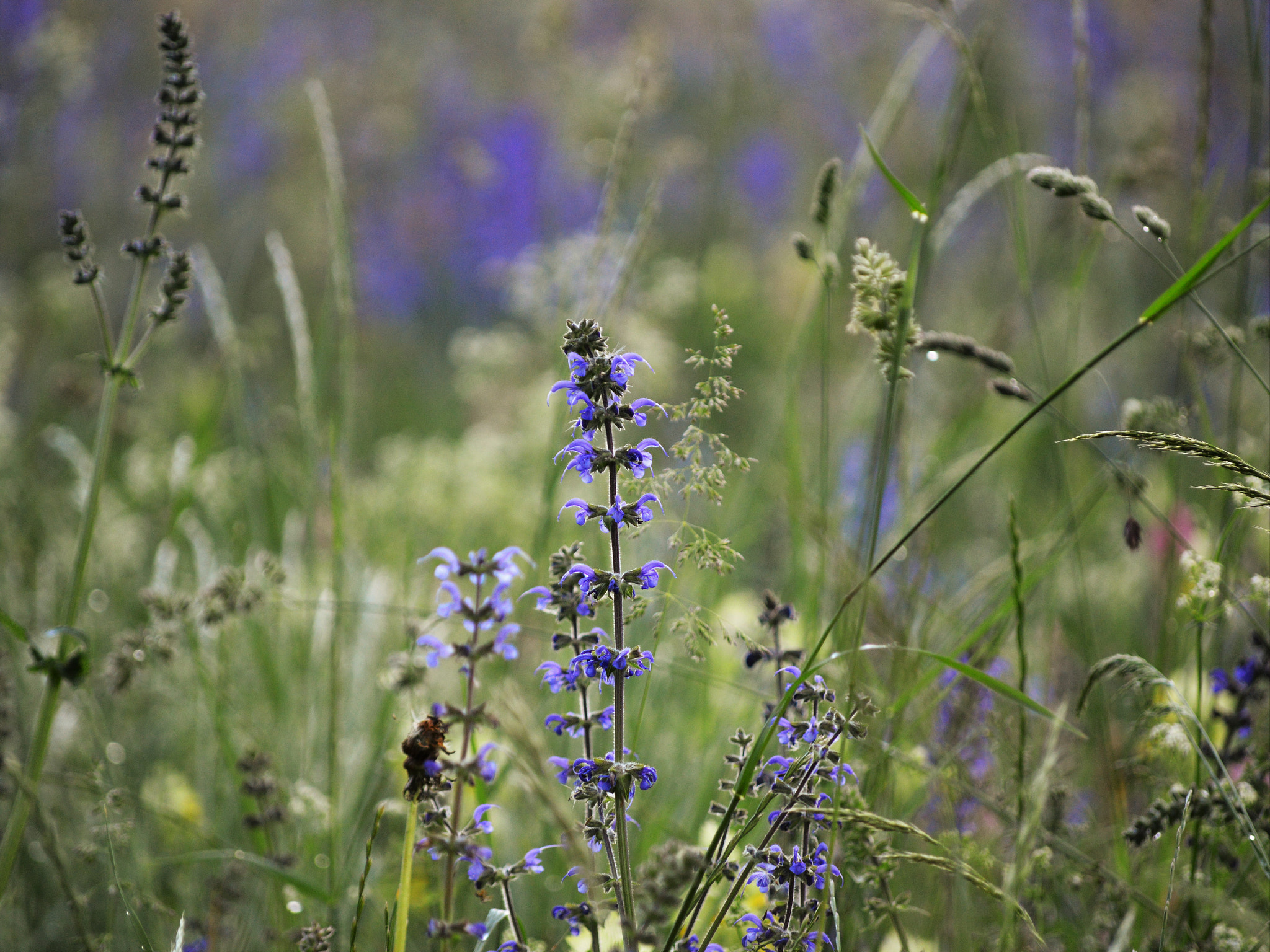 Nikon D3200 sample photo