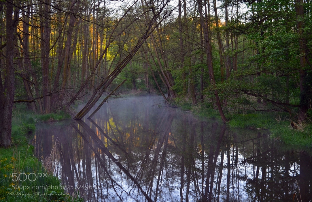 Nikon D5100 sample photo. Osa river photography