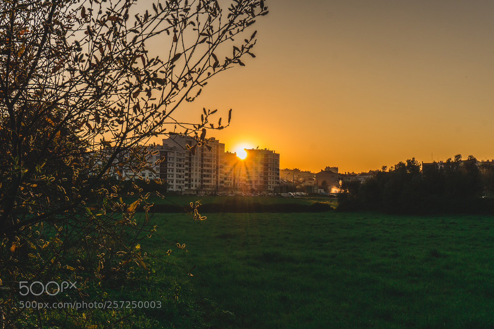 Sony a6000 sample photo. Dsc photography