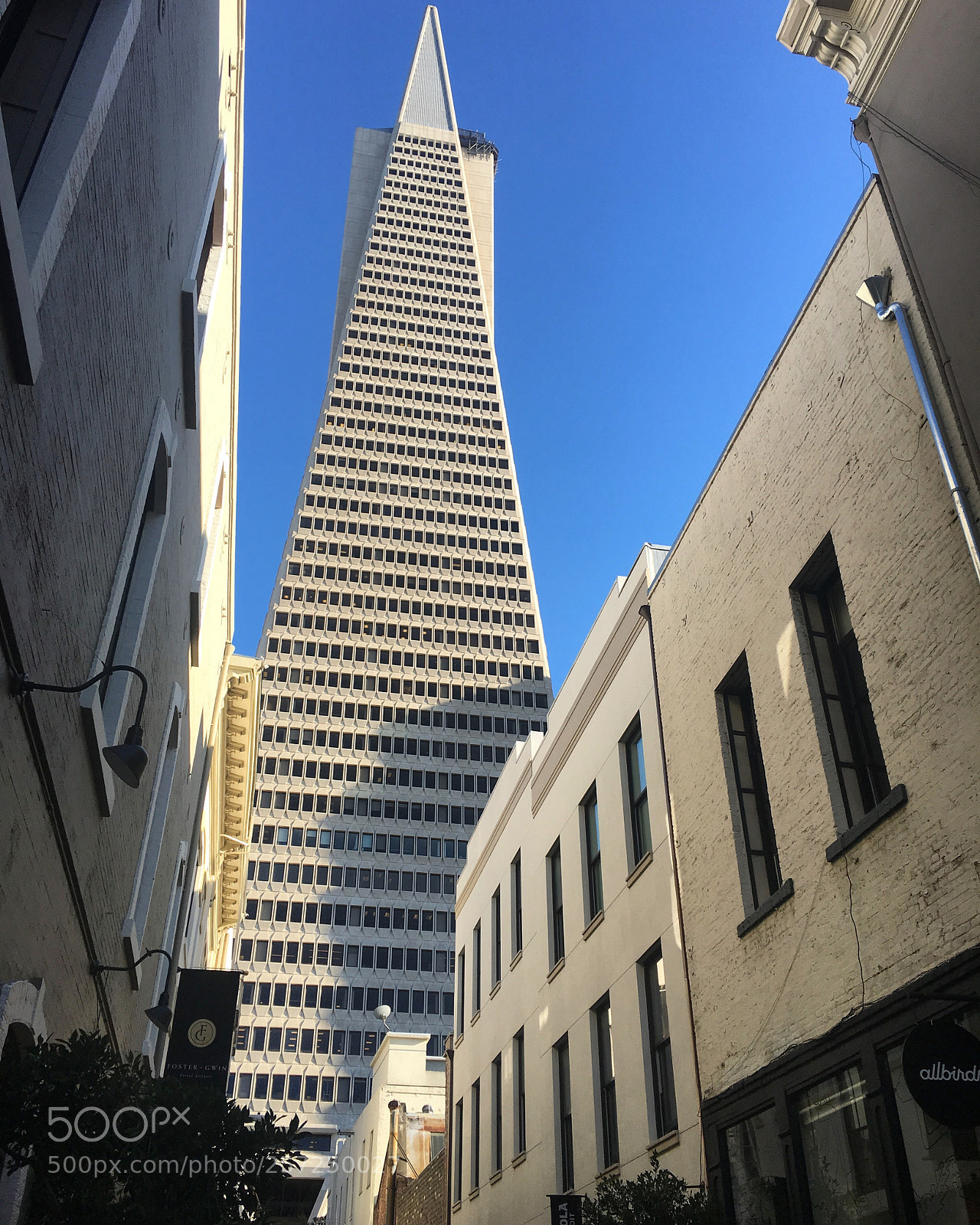 Apple iPhone 6s sample photo. Transamerica tower photography