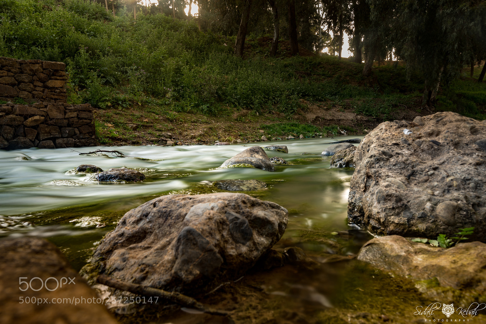 Nikon D750 sample photo. Embrace the river photography