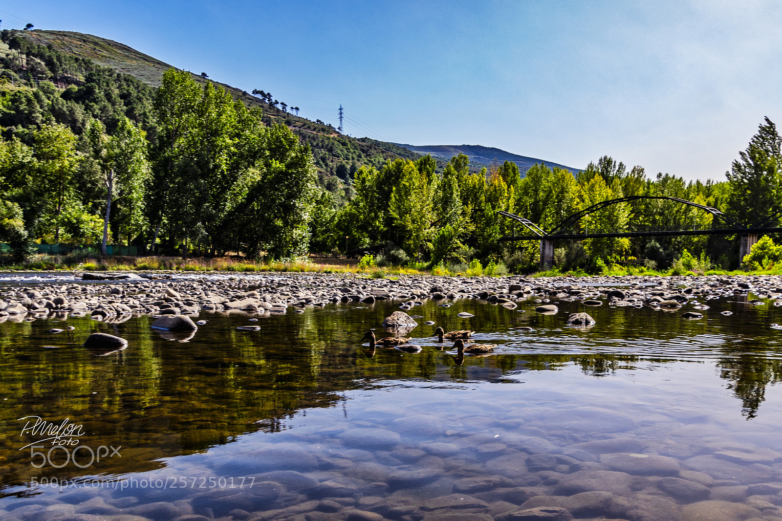 Sony SLT-A68 sample photo. Paseo por o barco photography
