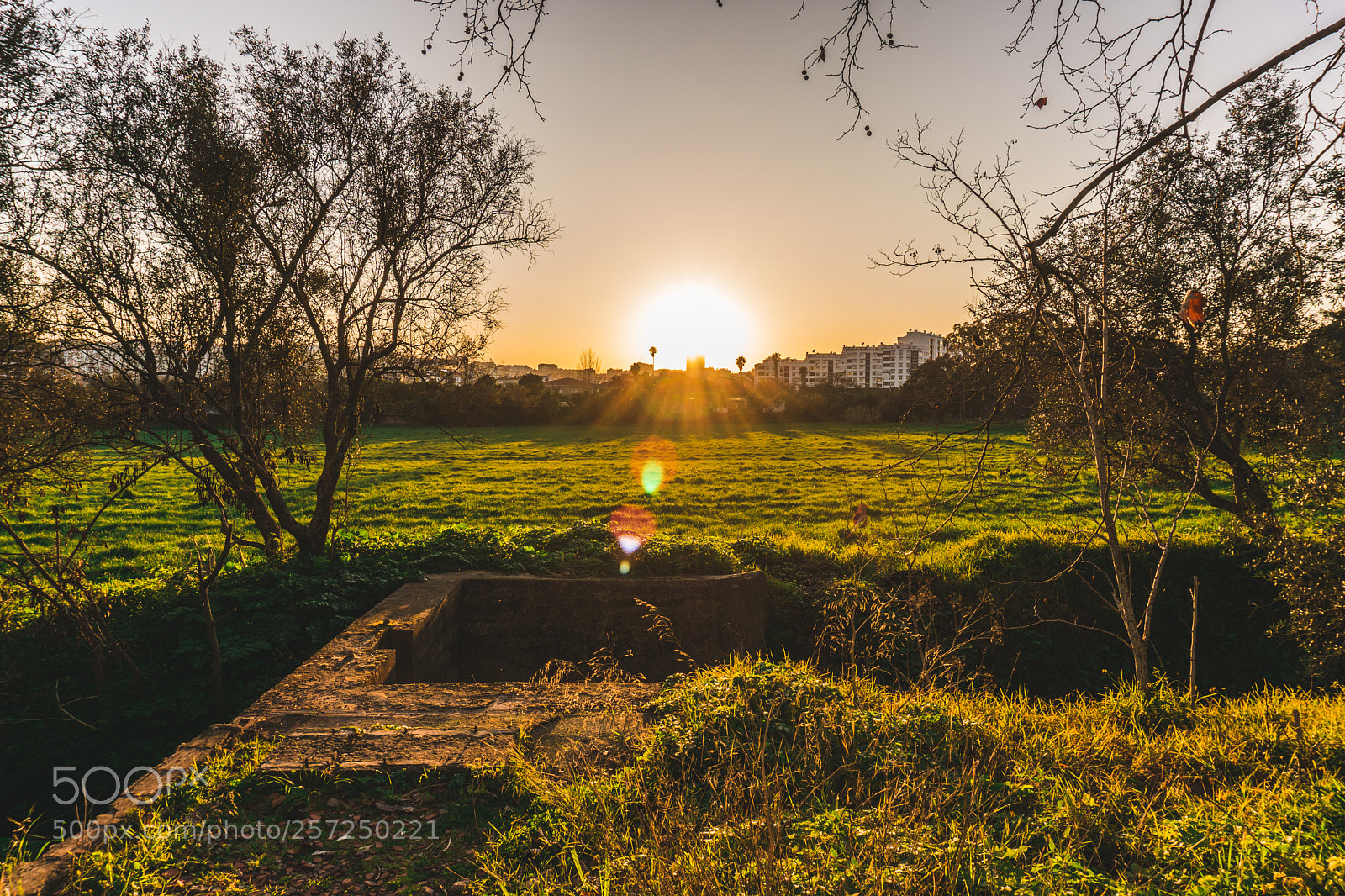 Sony a6000 sample photo. Dsc photography