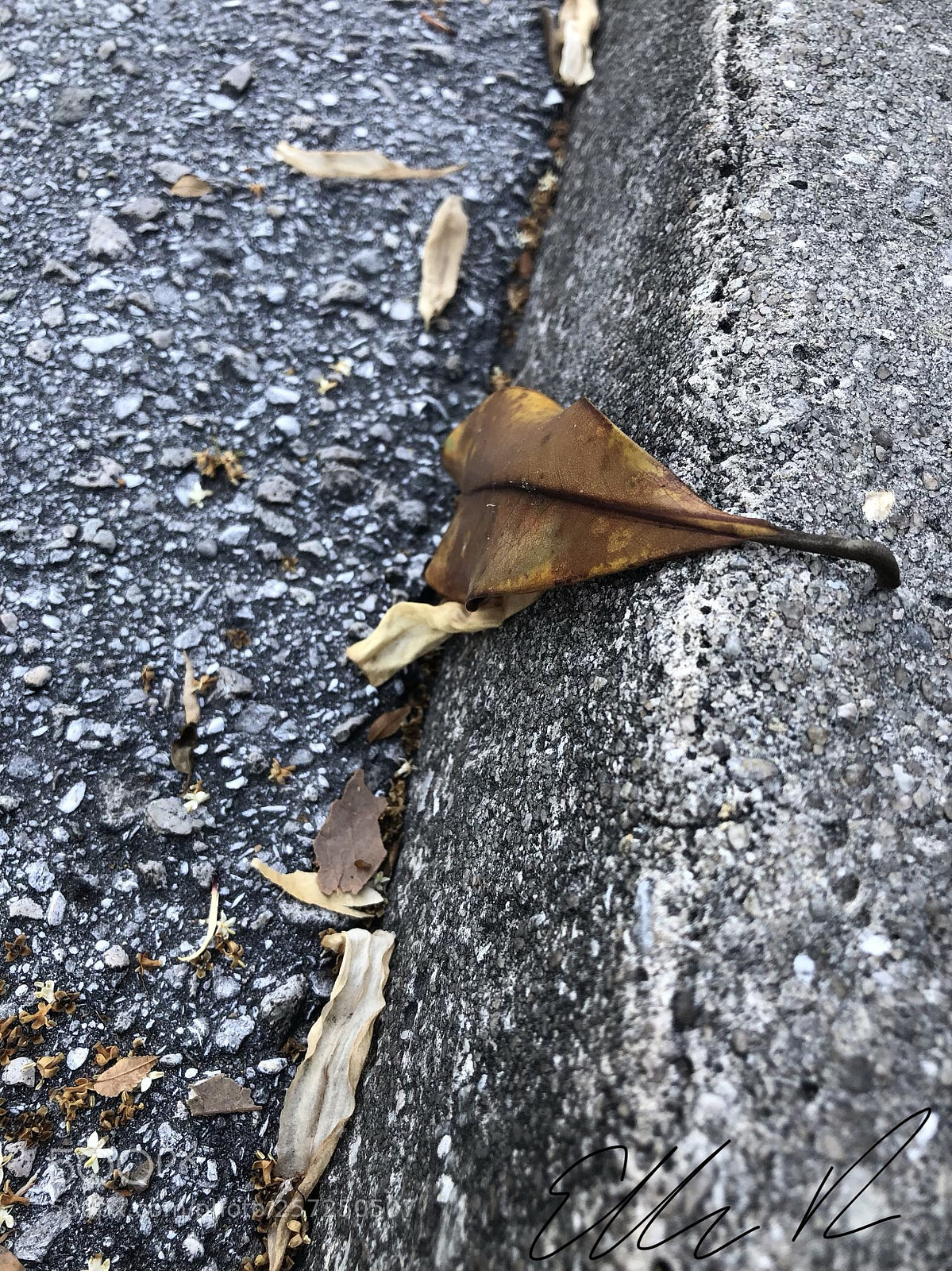 Apple iPhone 8 Plus sample photo. Step photography