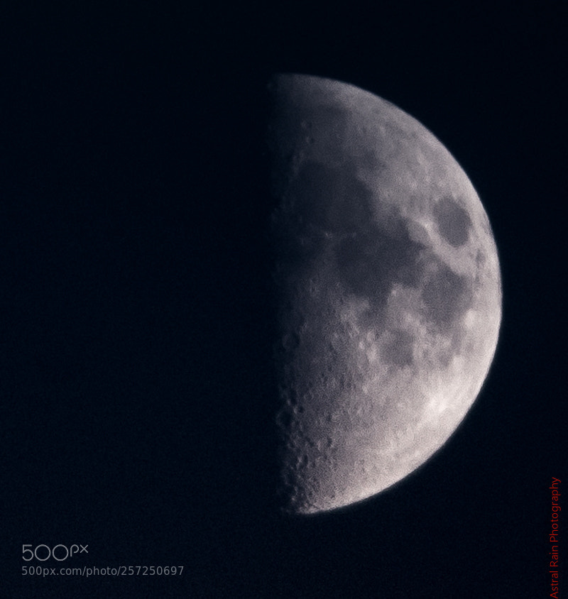 Nikon D600 sample photo. 000_6372-2.jpg photography