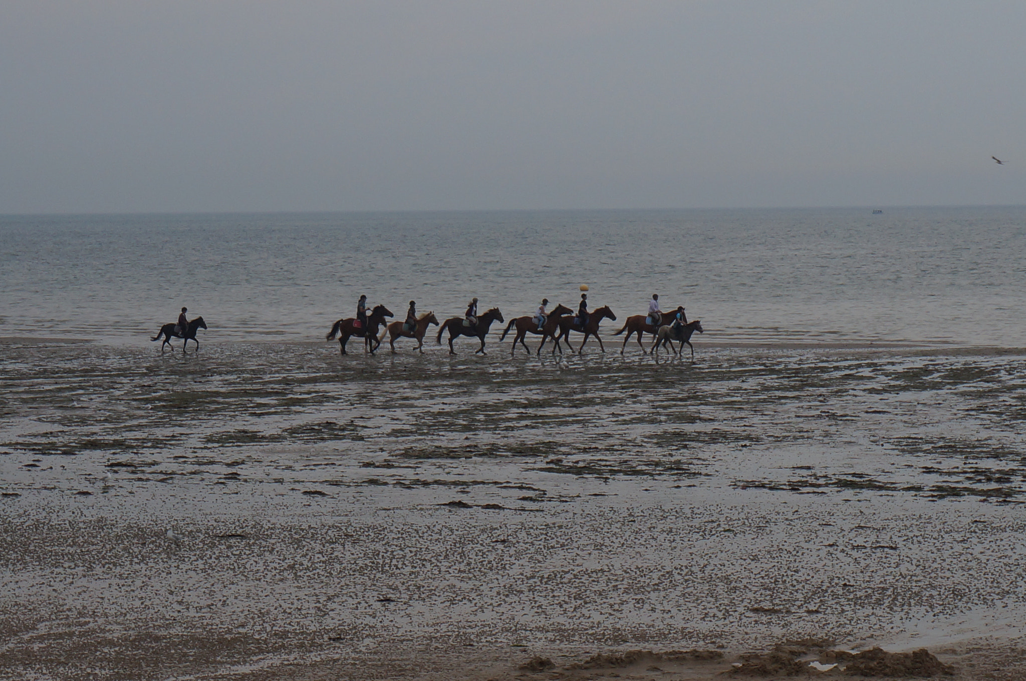 Sony Alpha NEX-3N sample photo. Ride on the beach photography