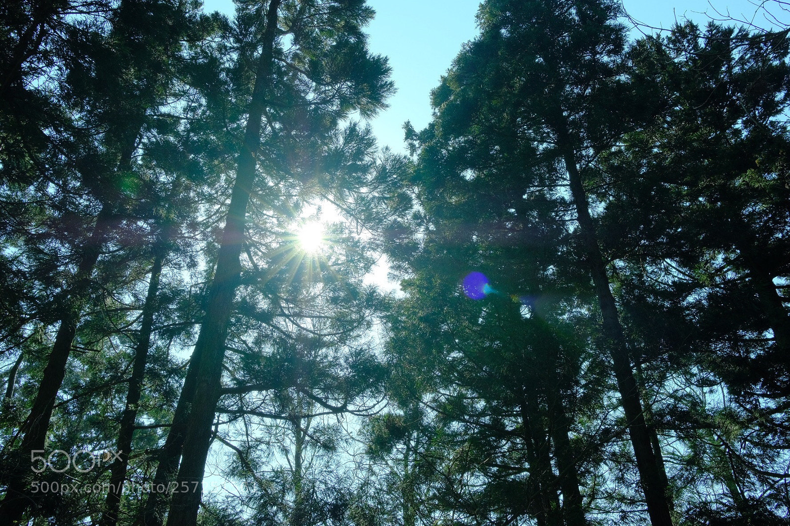 Fujifilm X-T2 sample photo. Untitled photography