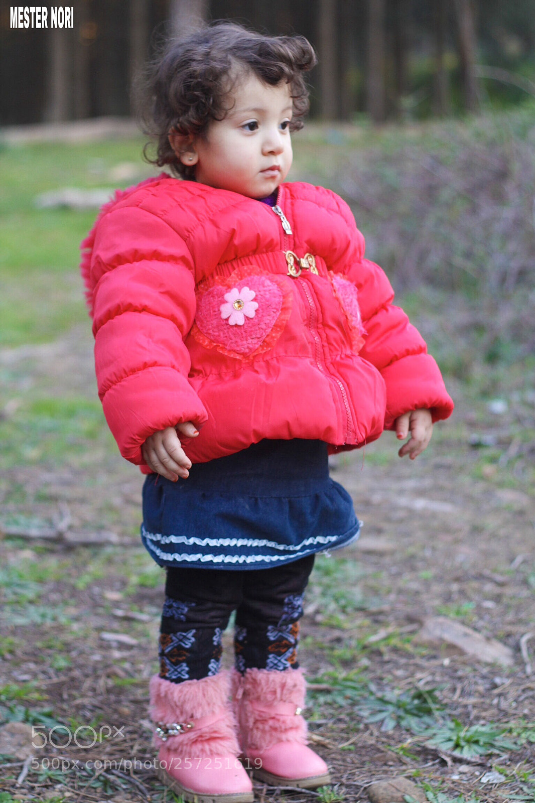 Canon EOS 60D sample photo. Untitled photography