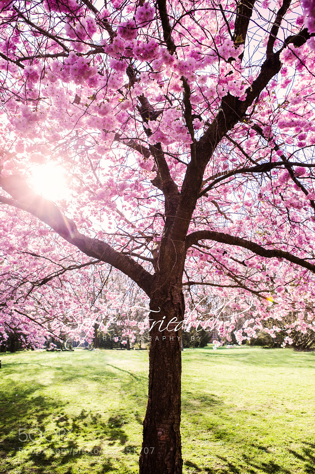 Canon EOS 6D sample photo. Spring photography
