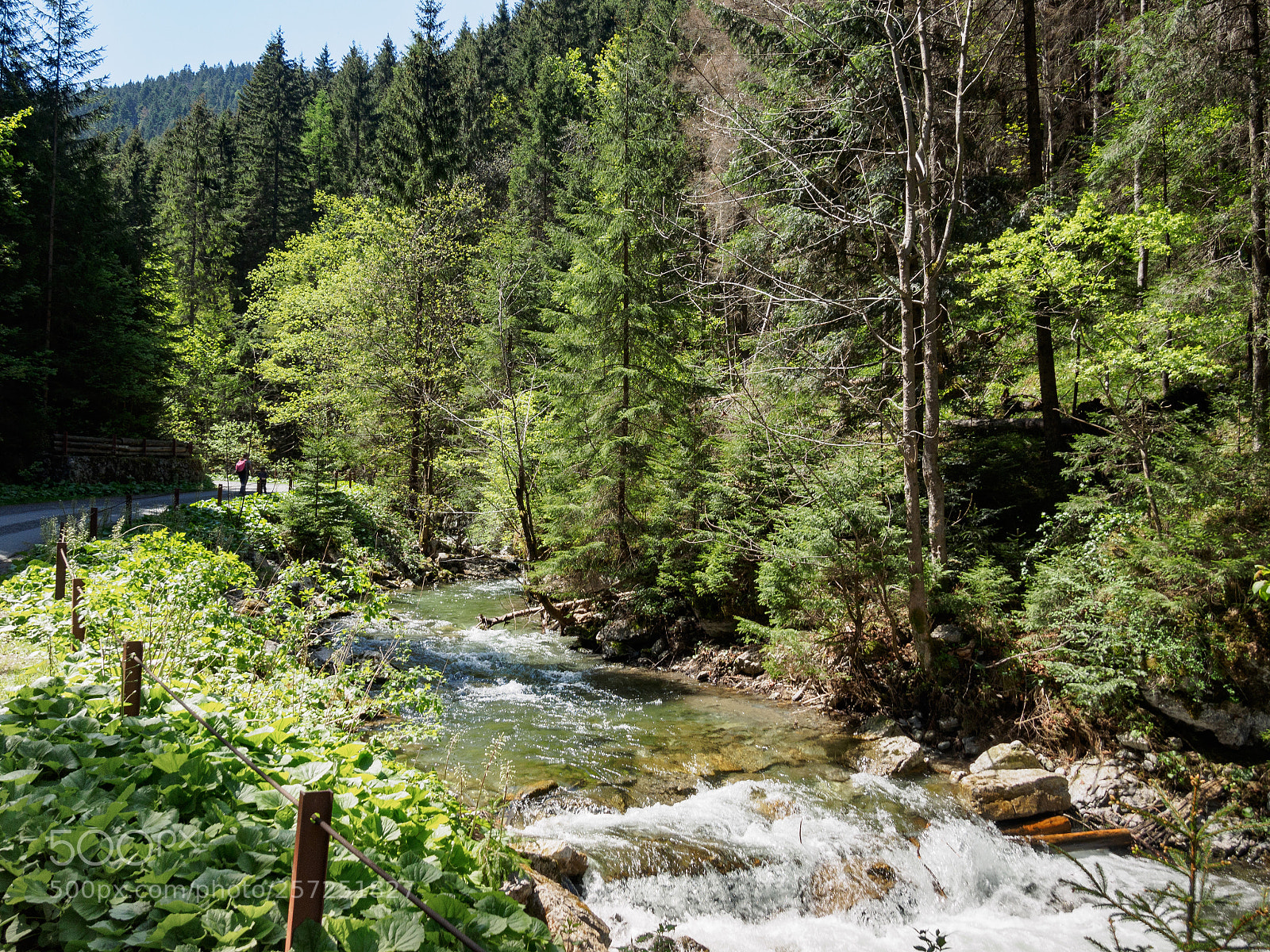 Olympus OM-D E-M1 sample photo. Janska valley photography