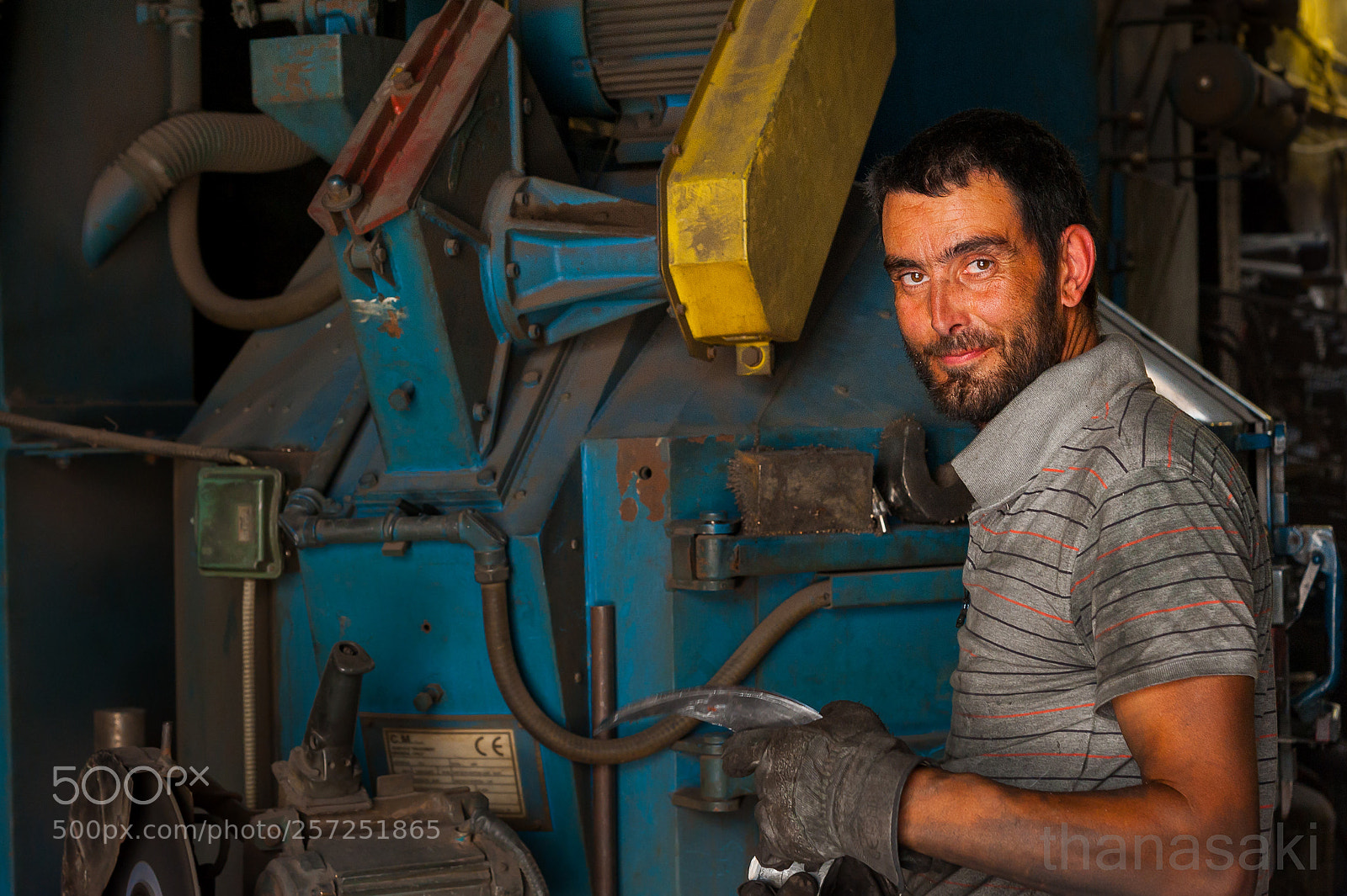 Nikon D700 sample photo. I work vi photography