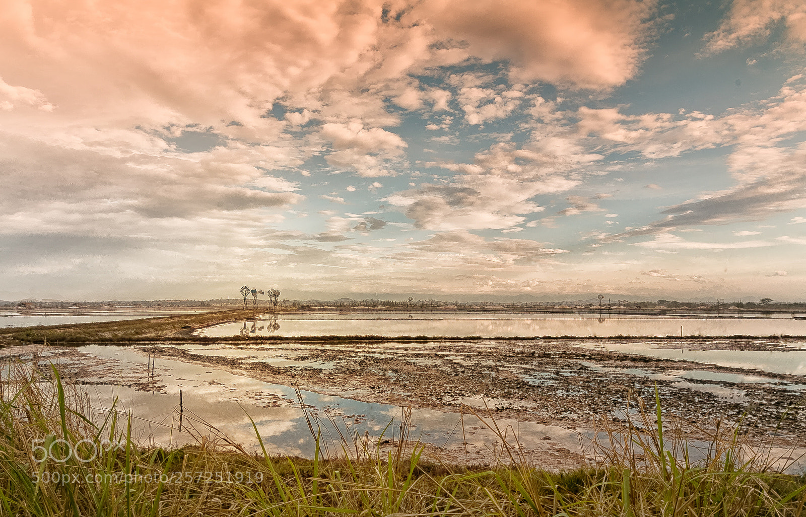Canon EOS 70D sample photo. The saline near figueira photography