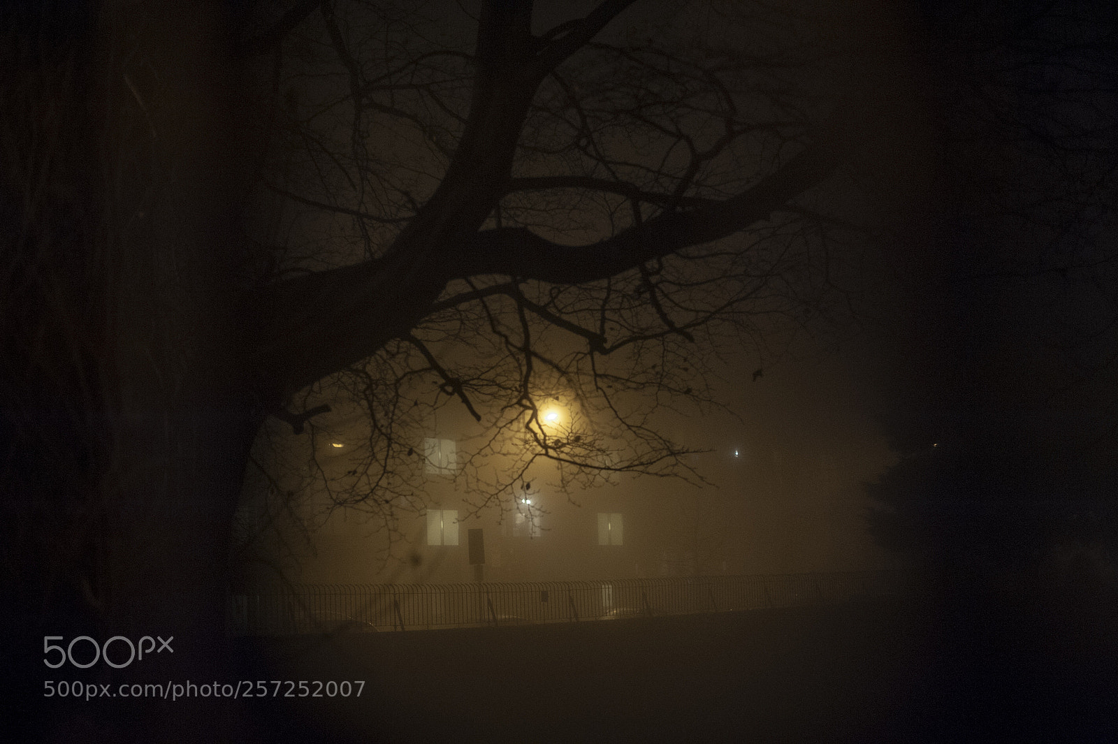 Nikon D700 sample photo. Dublinmist soniaal com photography