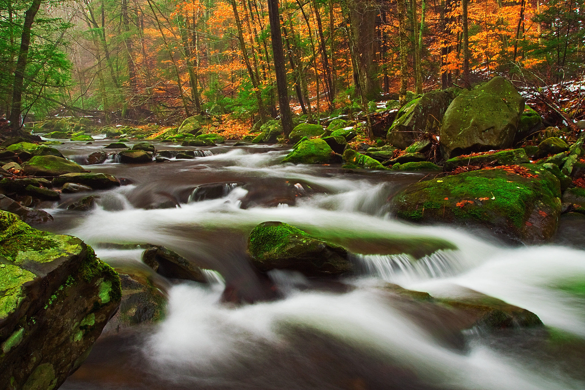 Pennsylvania, Poconos, Fall Colors, Foliage, Broad