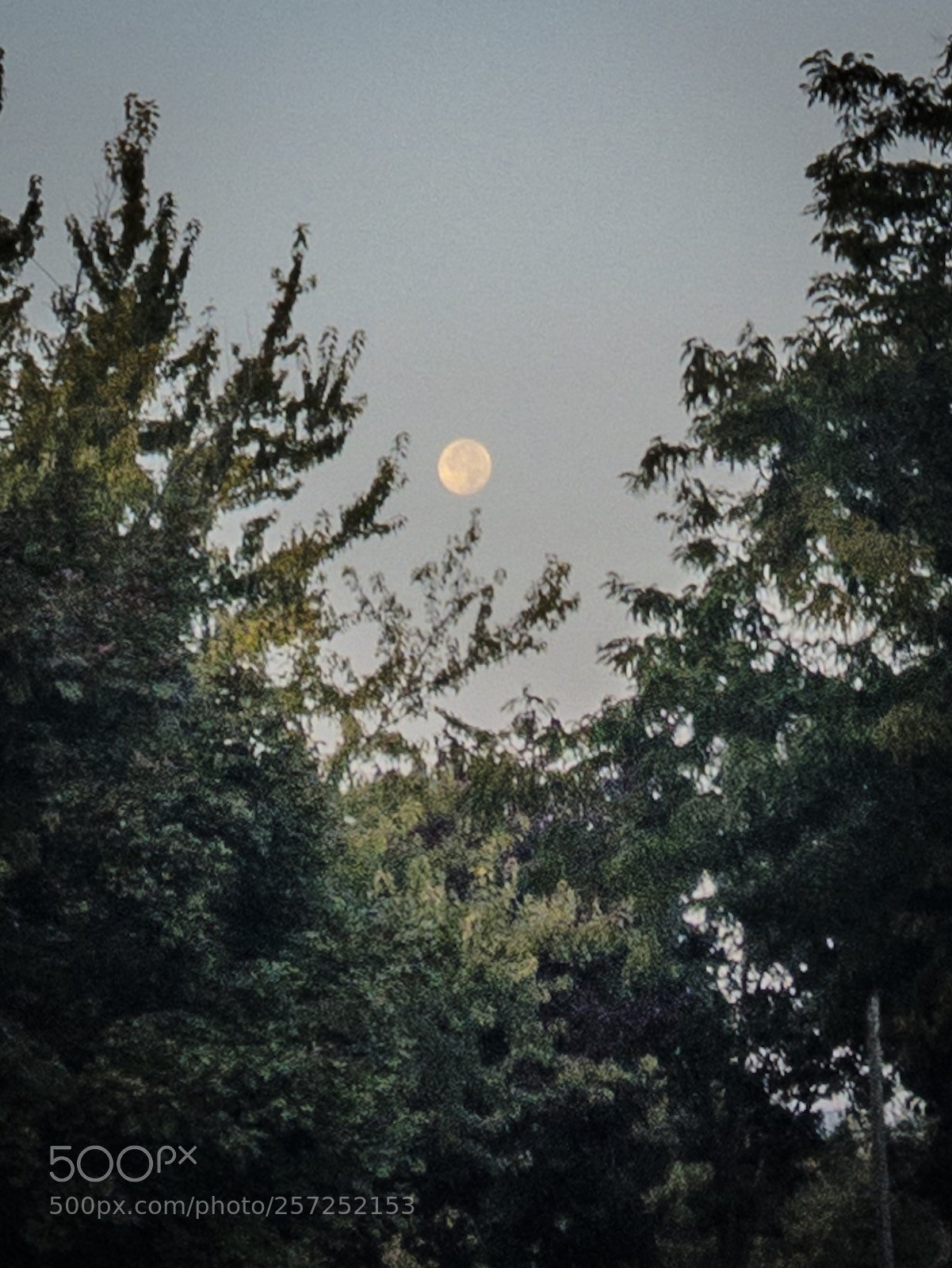 Apple iPhone SE sample photo. Early morning moon photography