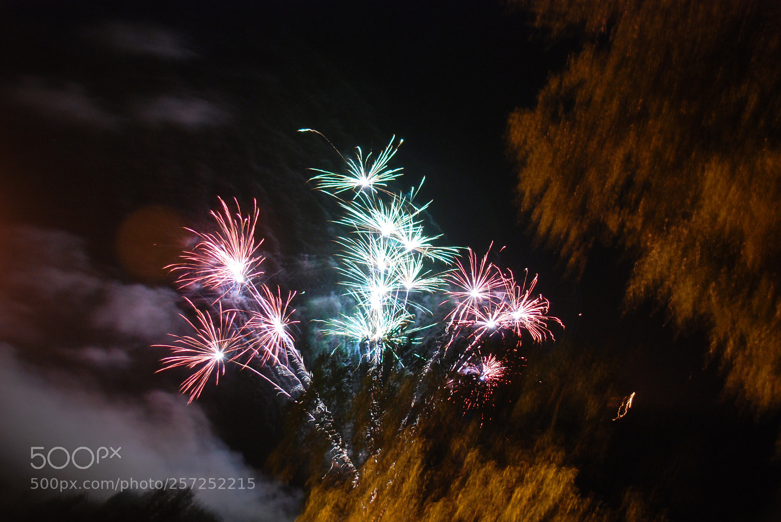 Nikon D80 sample photo. Fireworks photography