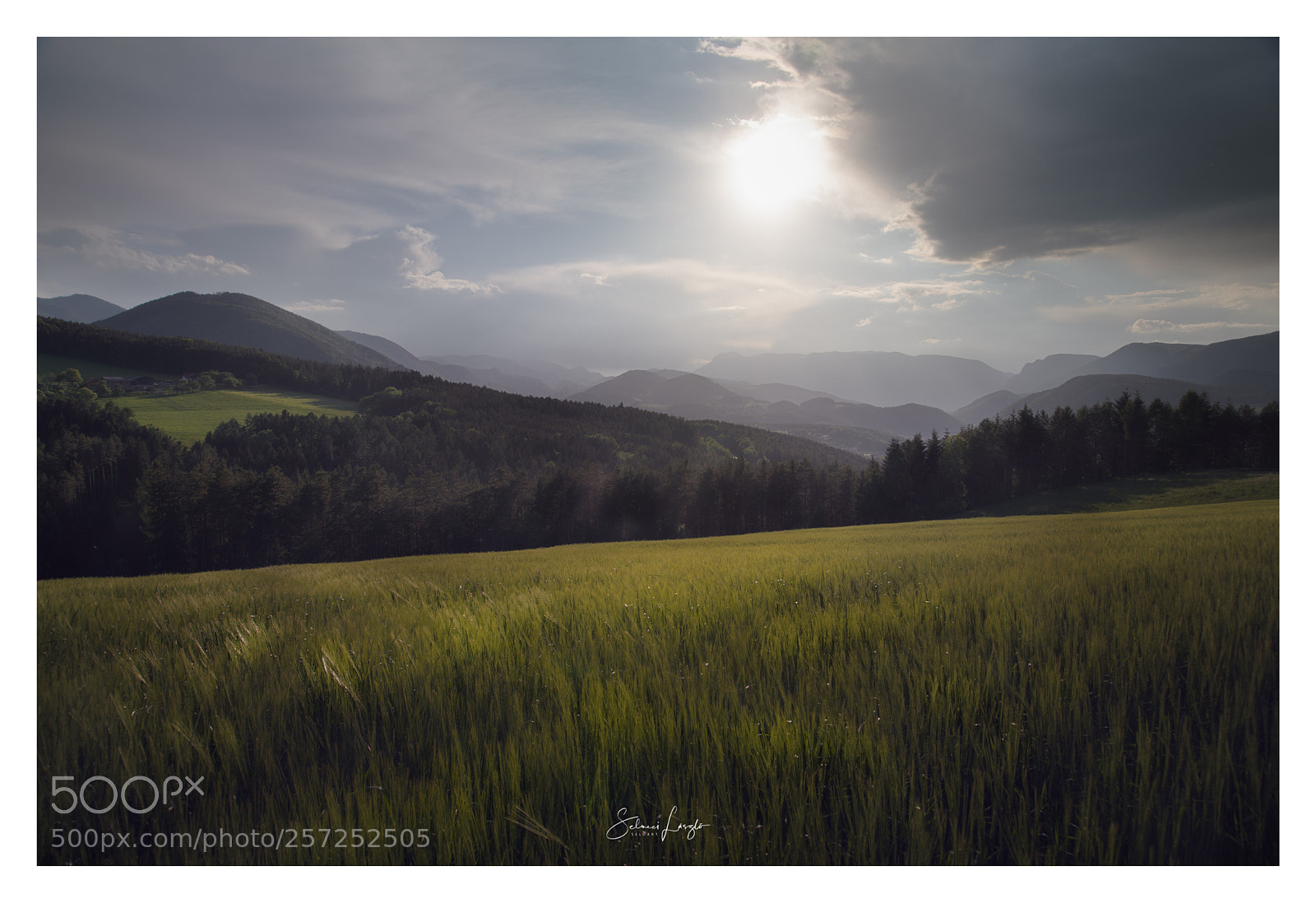 Nikon D750 sample photo. Fields of gloggnitz photography