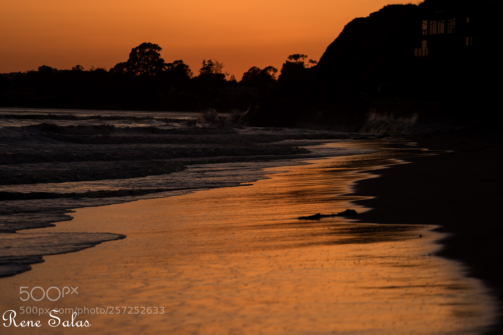 Nikon D810 sample photo. Ren16 photography