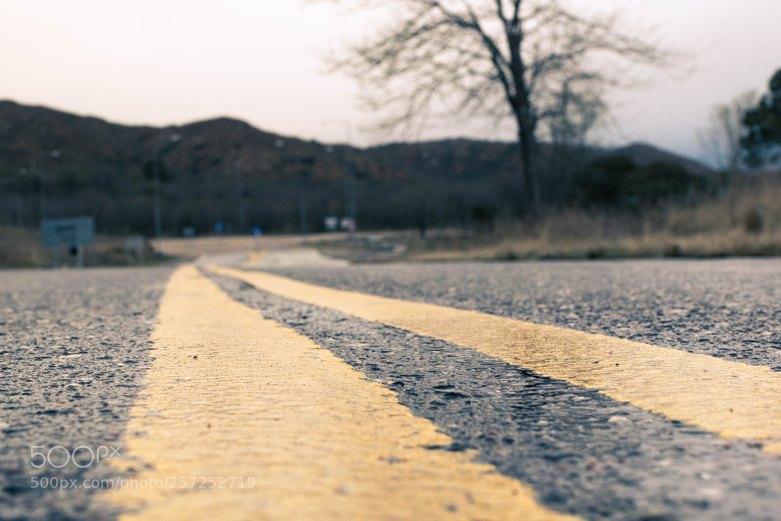 Nikon D3300 sample photo. Wet road photography