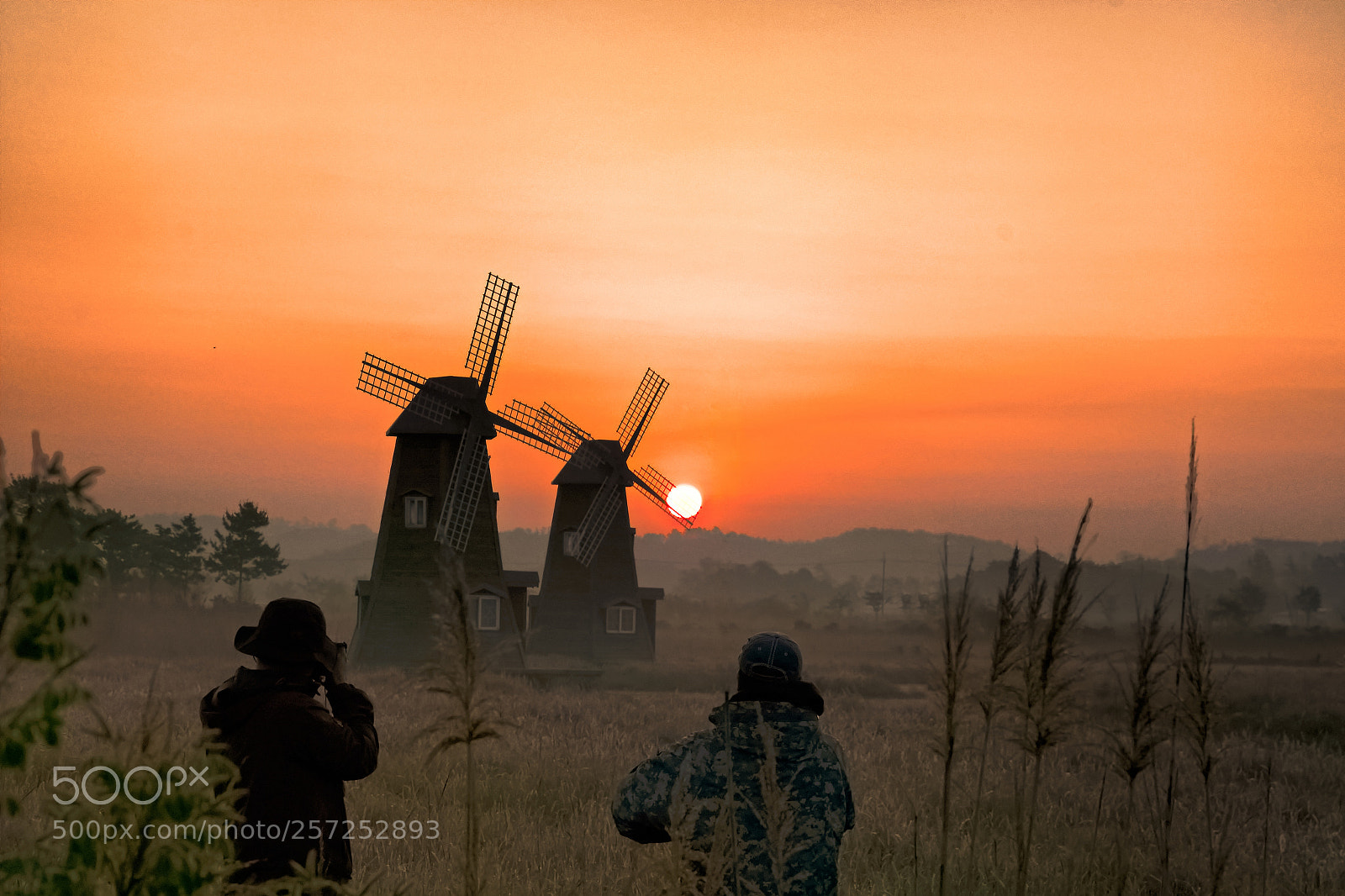 Nikon D500 sample photo. The sunrise of the photography