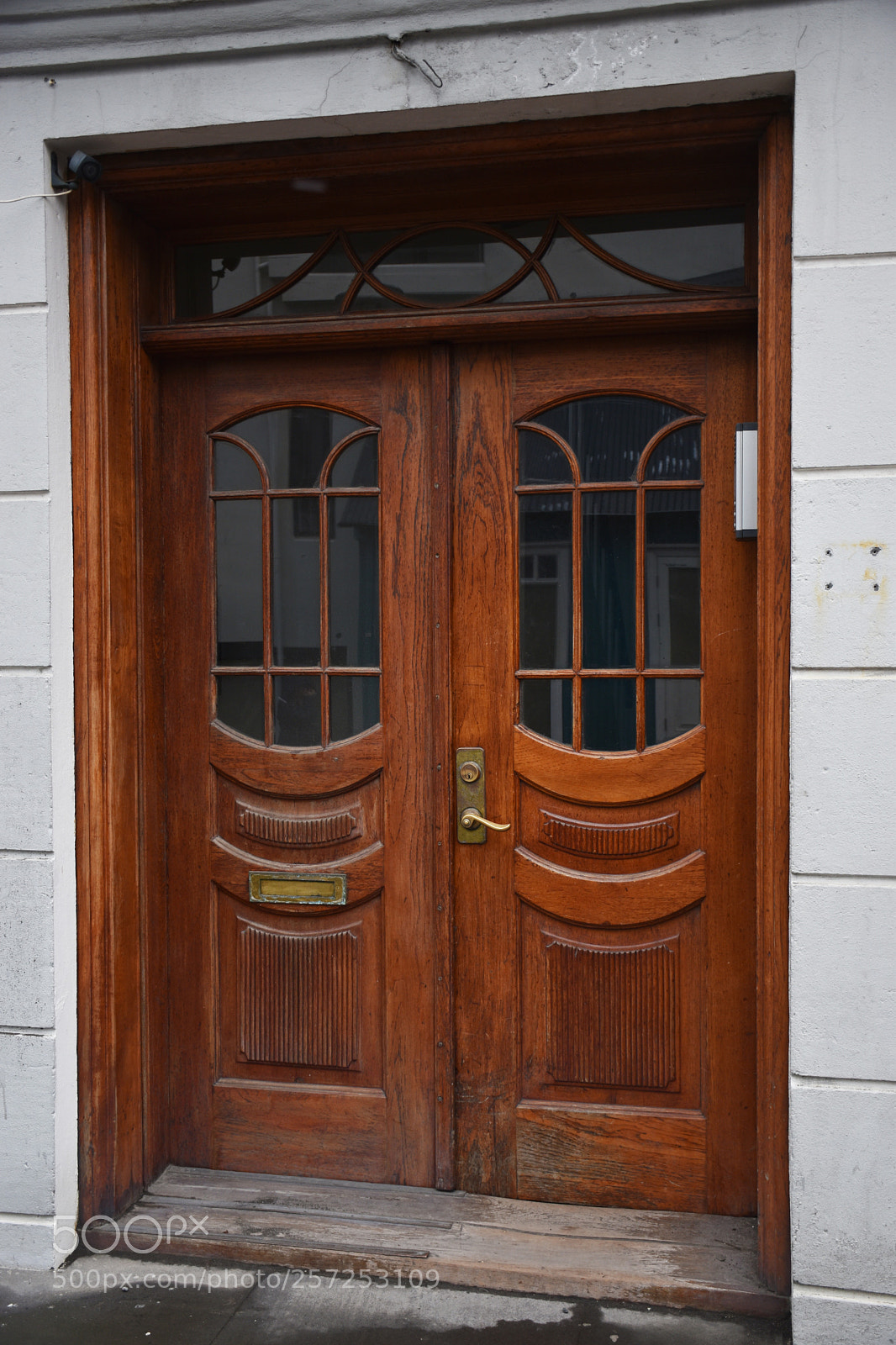 Nikon D5500 sample photo. Front door photography