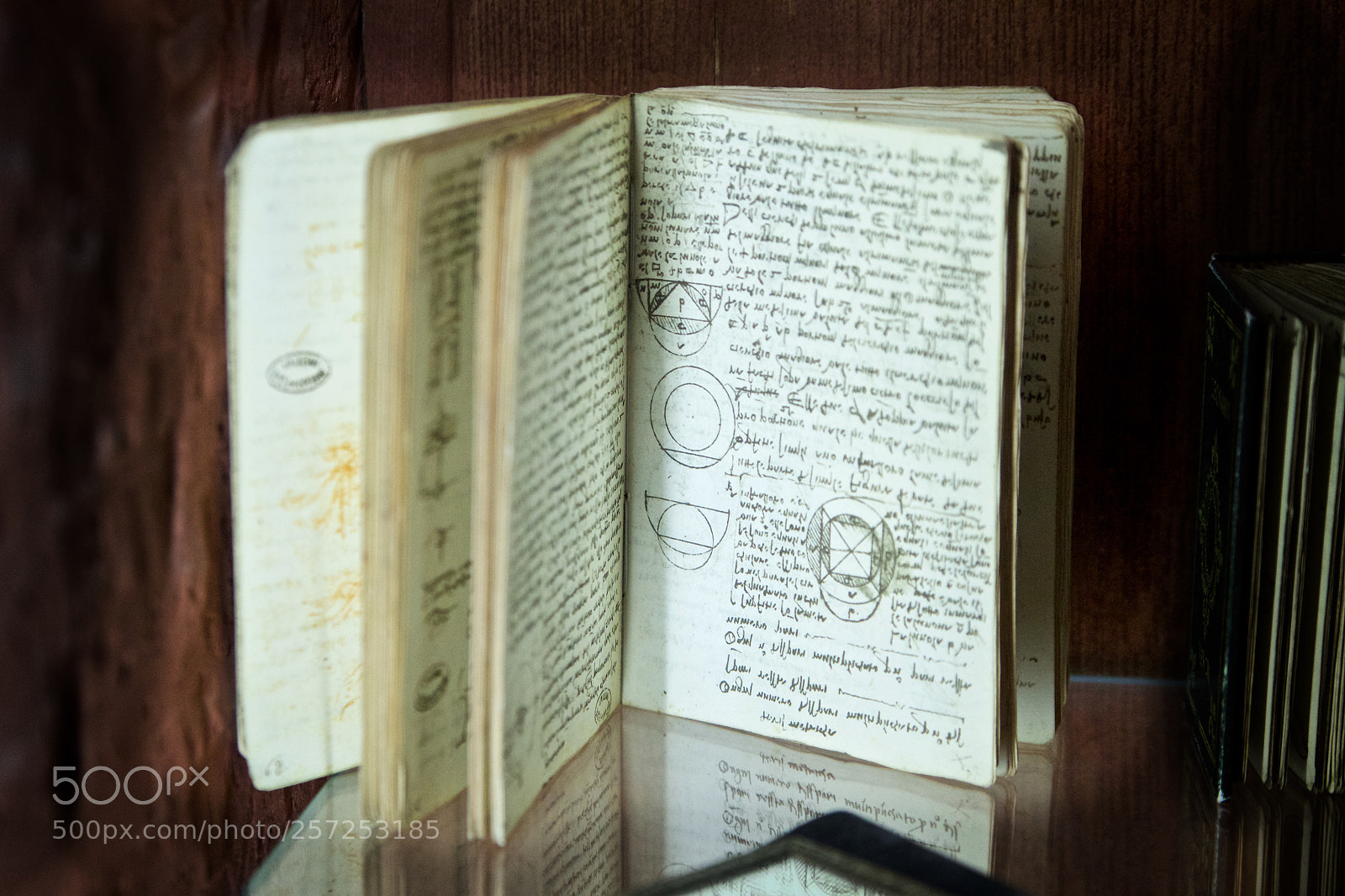Canon EOS 550D (EOS Rebel T2i / EOS Kiss X4) sample photo. Da vinci little secrets photography