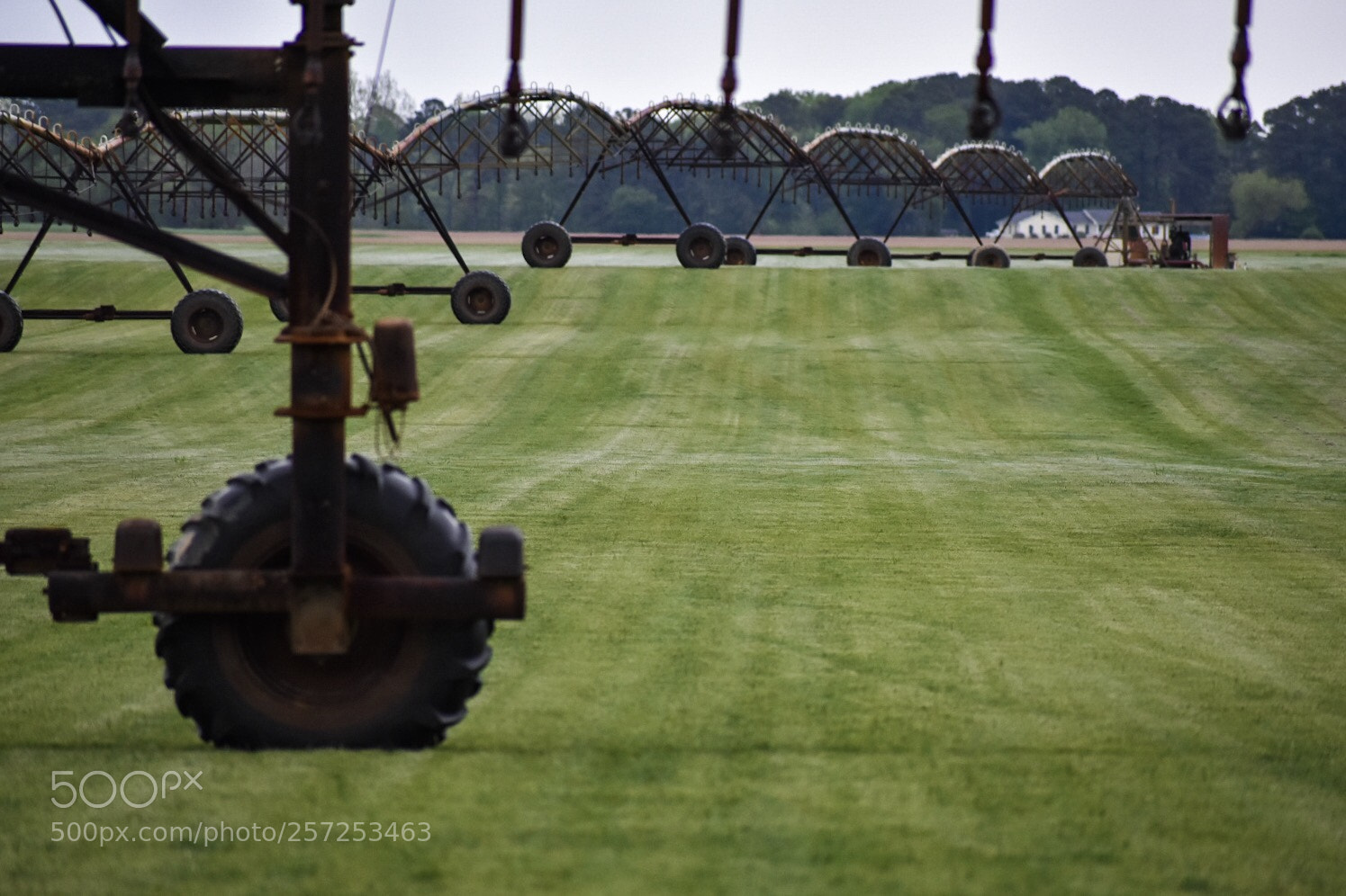 Nikon D3400 sample photo. Farm photography
