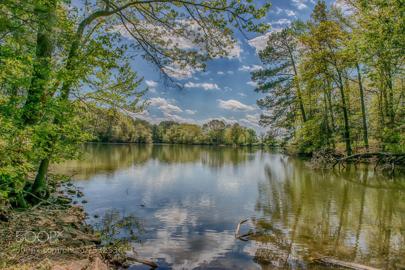 Nikon D800 sample photo. The nolan trail #4 photography