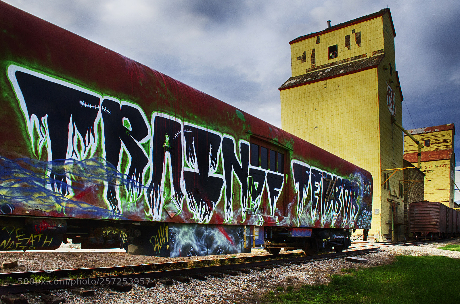 Nikon D7000 sample photo. Graffiti train of terror photography