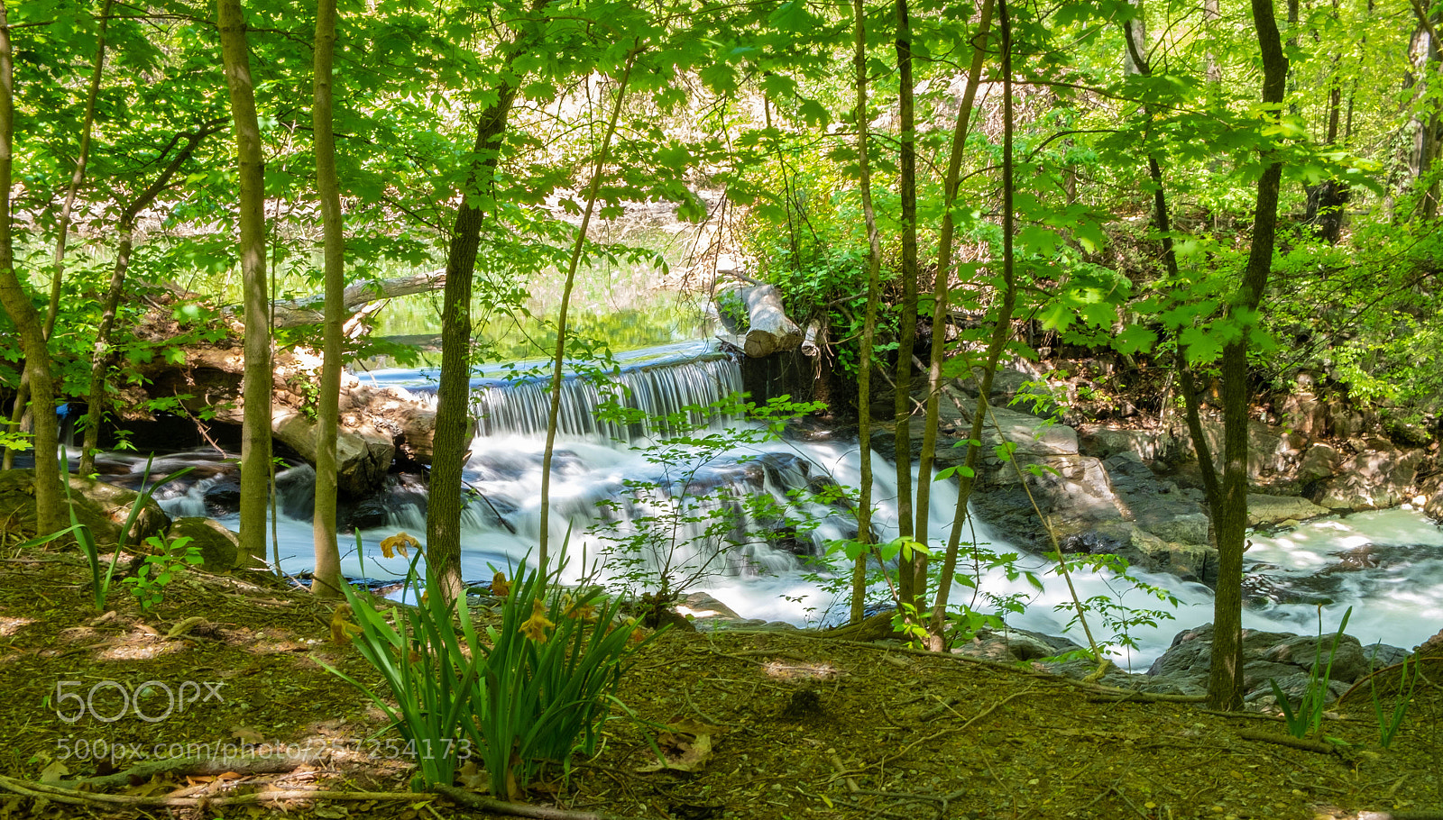 Fujifilm X-E1 sample photo. Flowing water photography