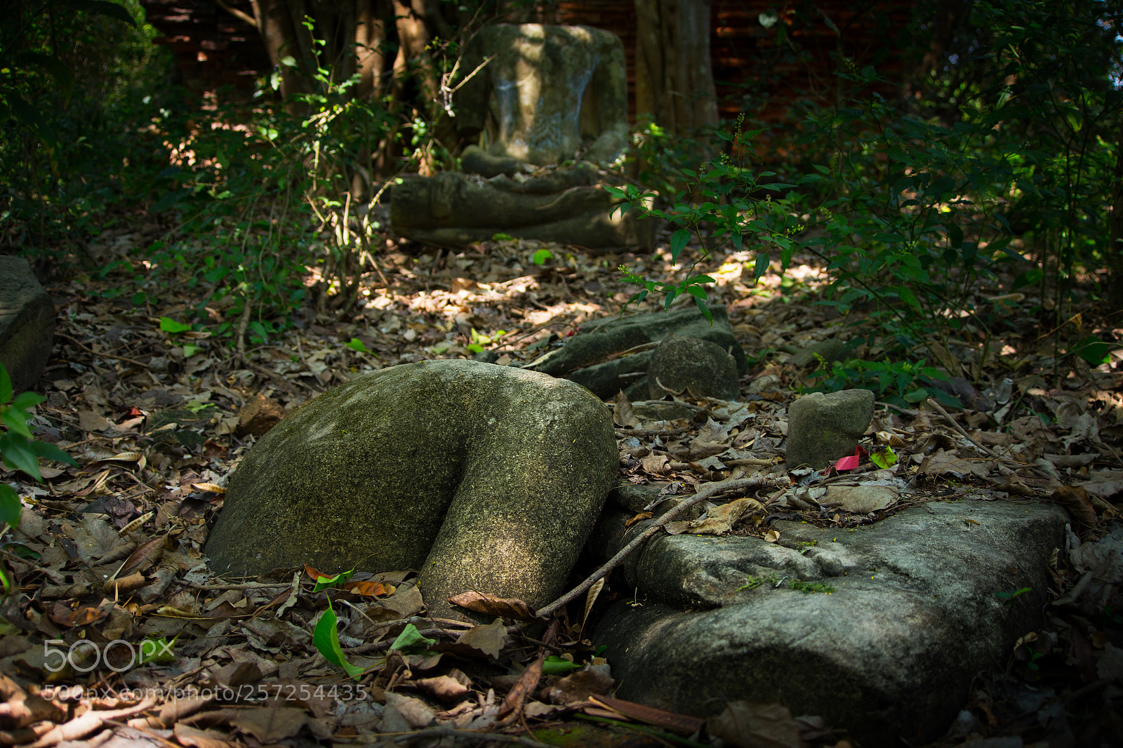 Canon EOS 6D sample photo. Ancient history of ayuttaya photography