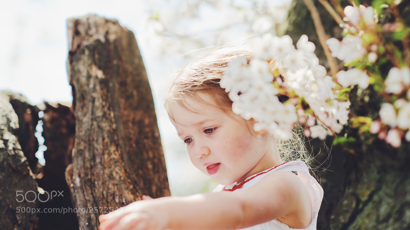 Sony a7R III sample photo. Kid photography