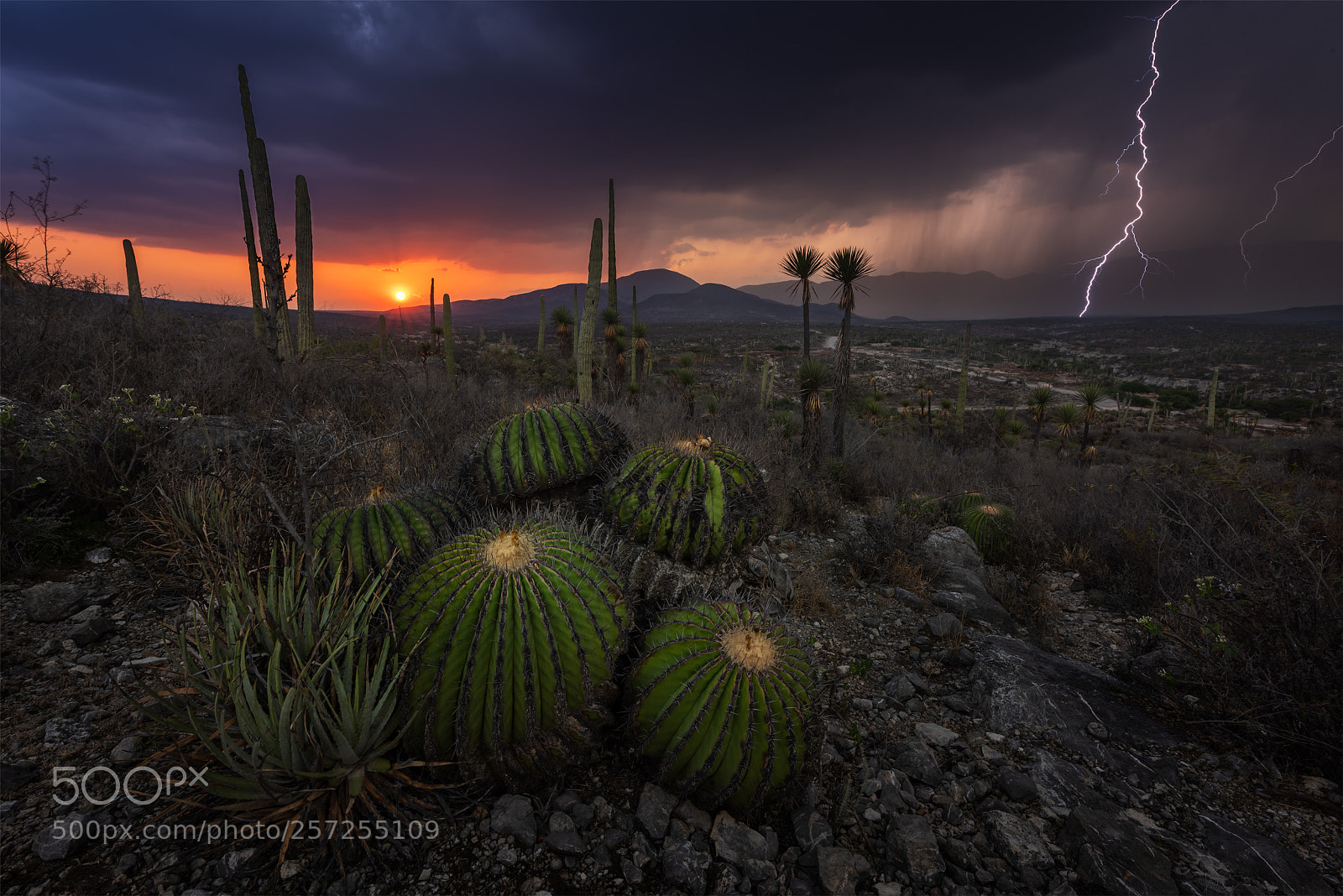 Nikon D810 sample photo. Thunderstorm 2018- 2, zapotitlan photography