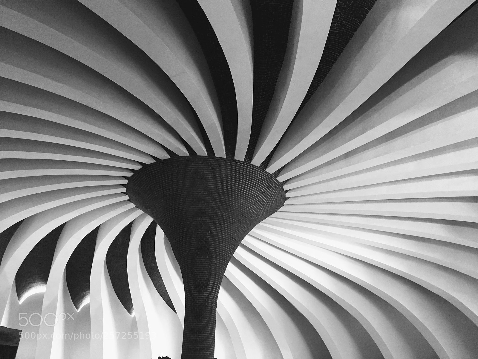 Apple iPhone 6s sample photo. Whirligig photography
