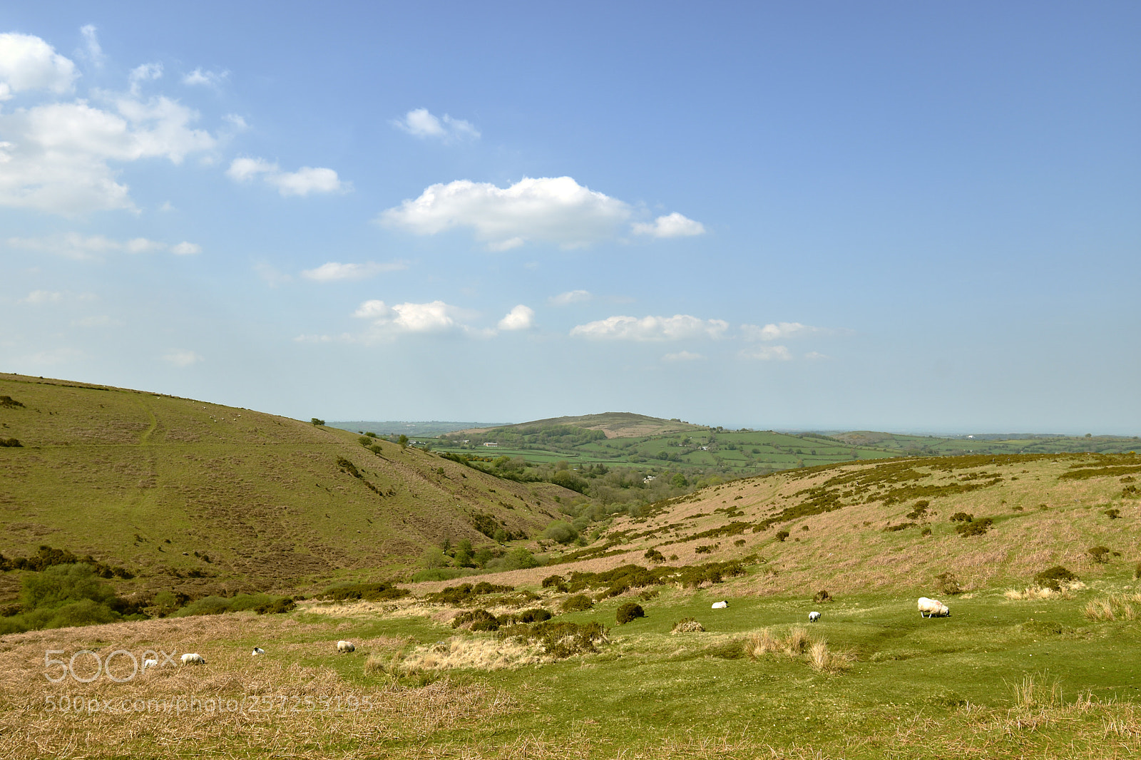 Nikon D5600 sample photo. Glorious moors photography