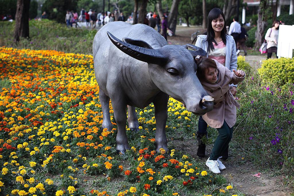 Canon EOS 5D Mark II sample photo. Untitled photography