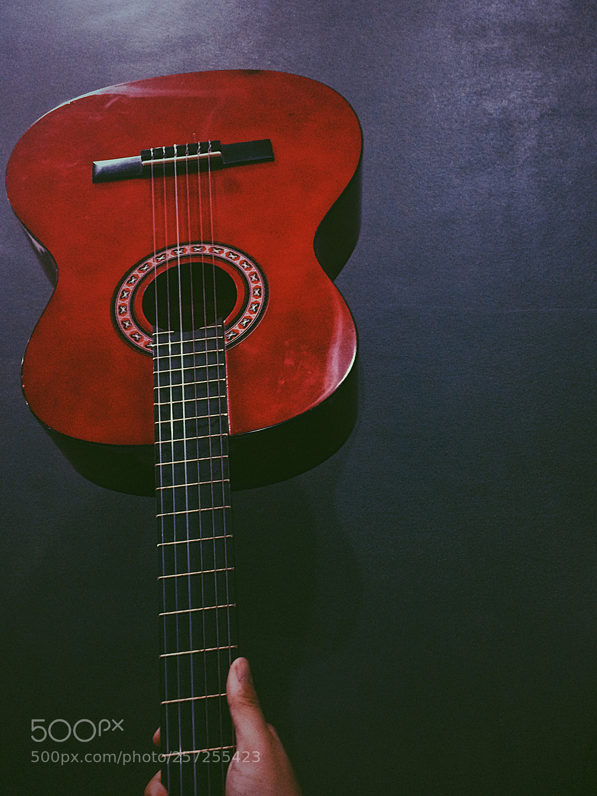 Apple iPhone 5s sample photo. Untitled photography