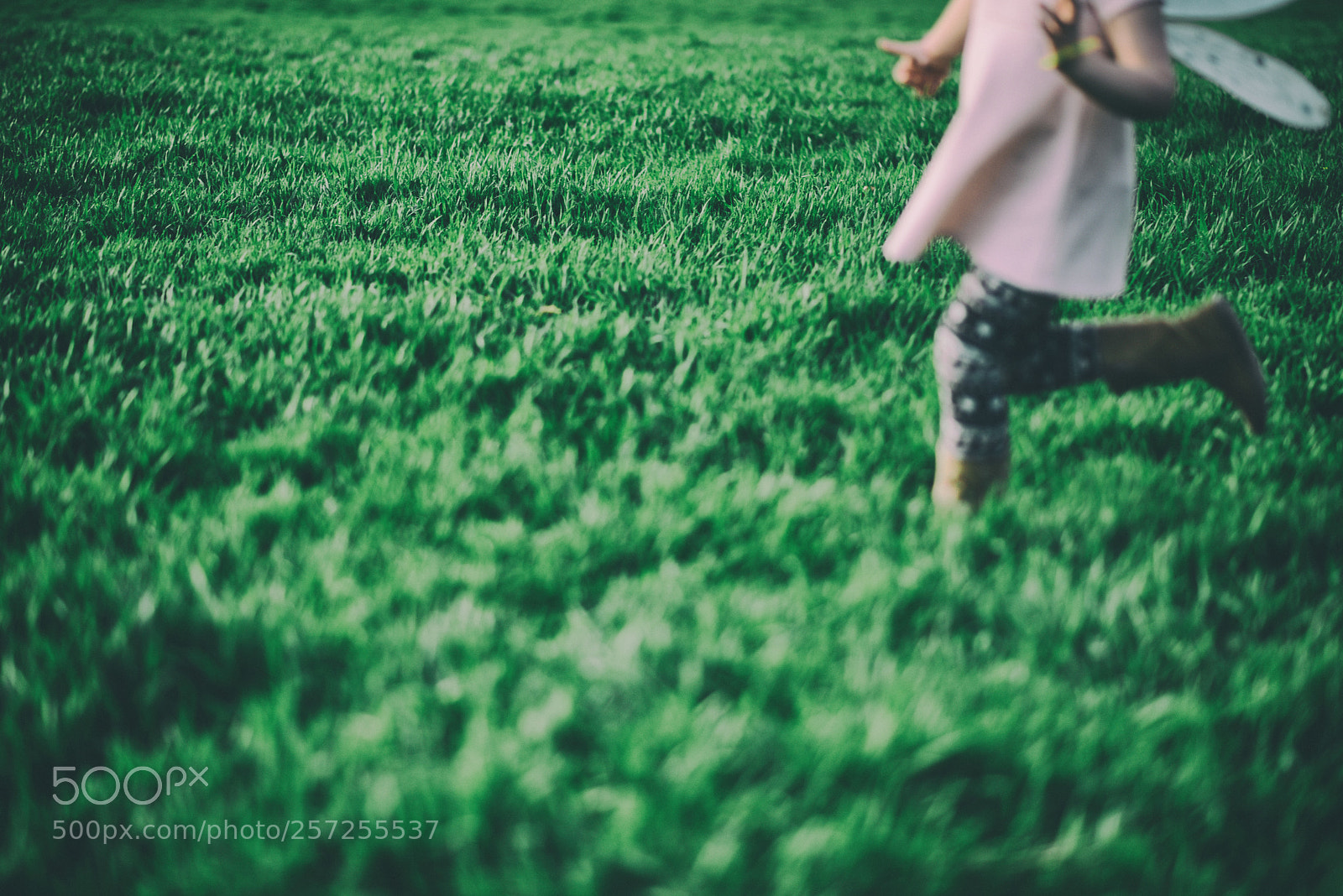 Nikon D800E sample photo. Hill photography