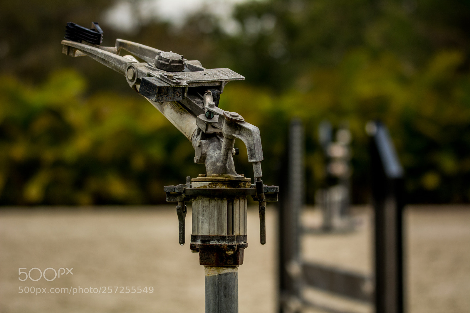 Nikon D5200 sample photo. Paddock sprinkler photography