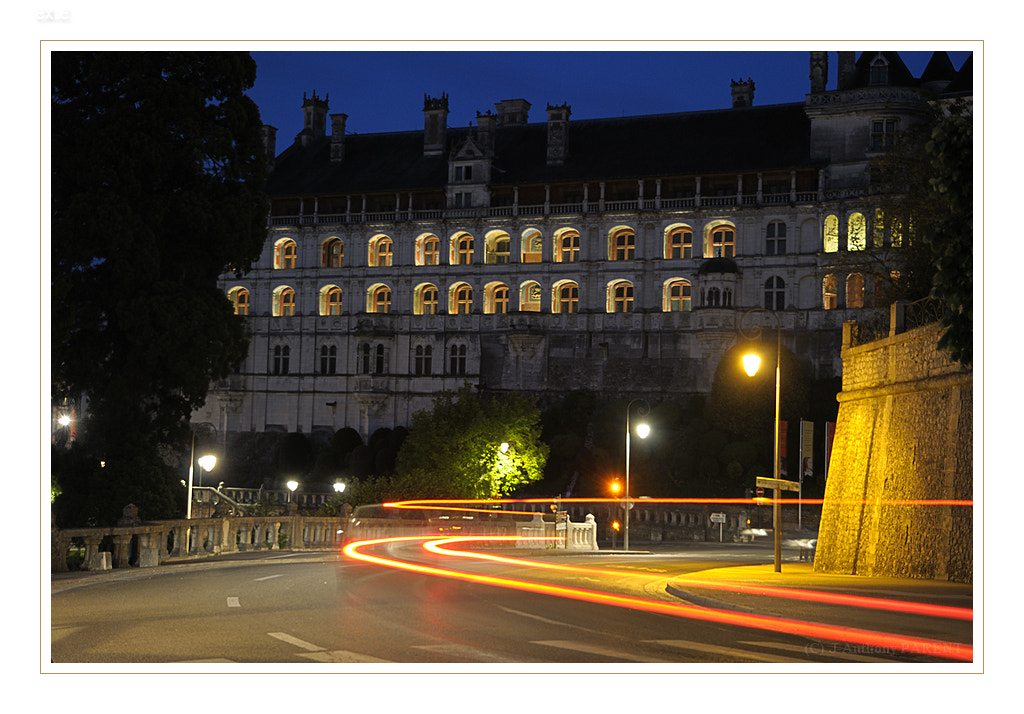 Nikon D90 sample photo. Château de blois photography